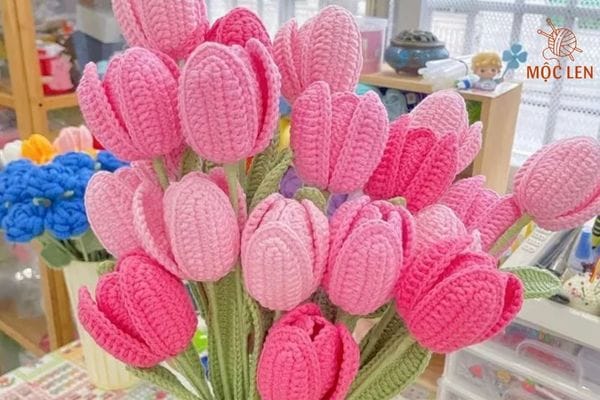 hoa len tulip hồng có ý nghĩa gì