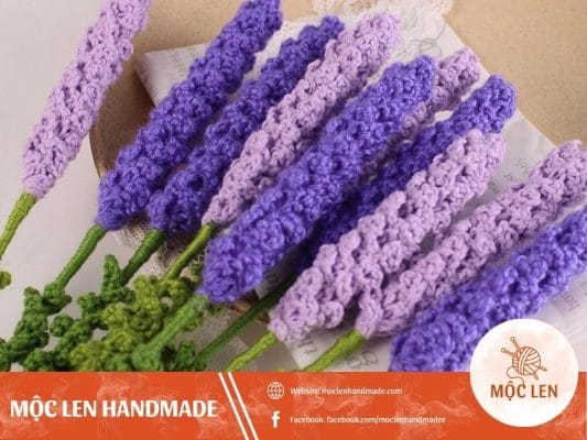 hoa len lavender biểu tượng chung thủy